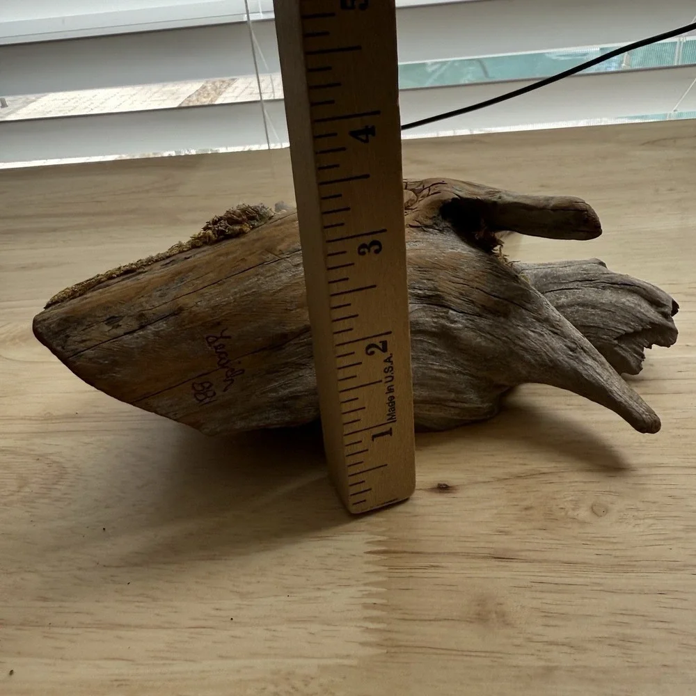 Hand Carved Driftwood Bark Fairy House Door Signed Wall Hanging VTG‎ Leaich 1988